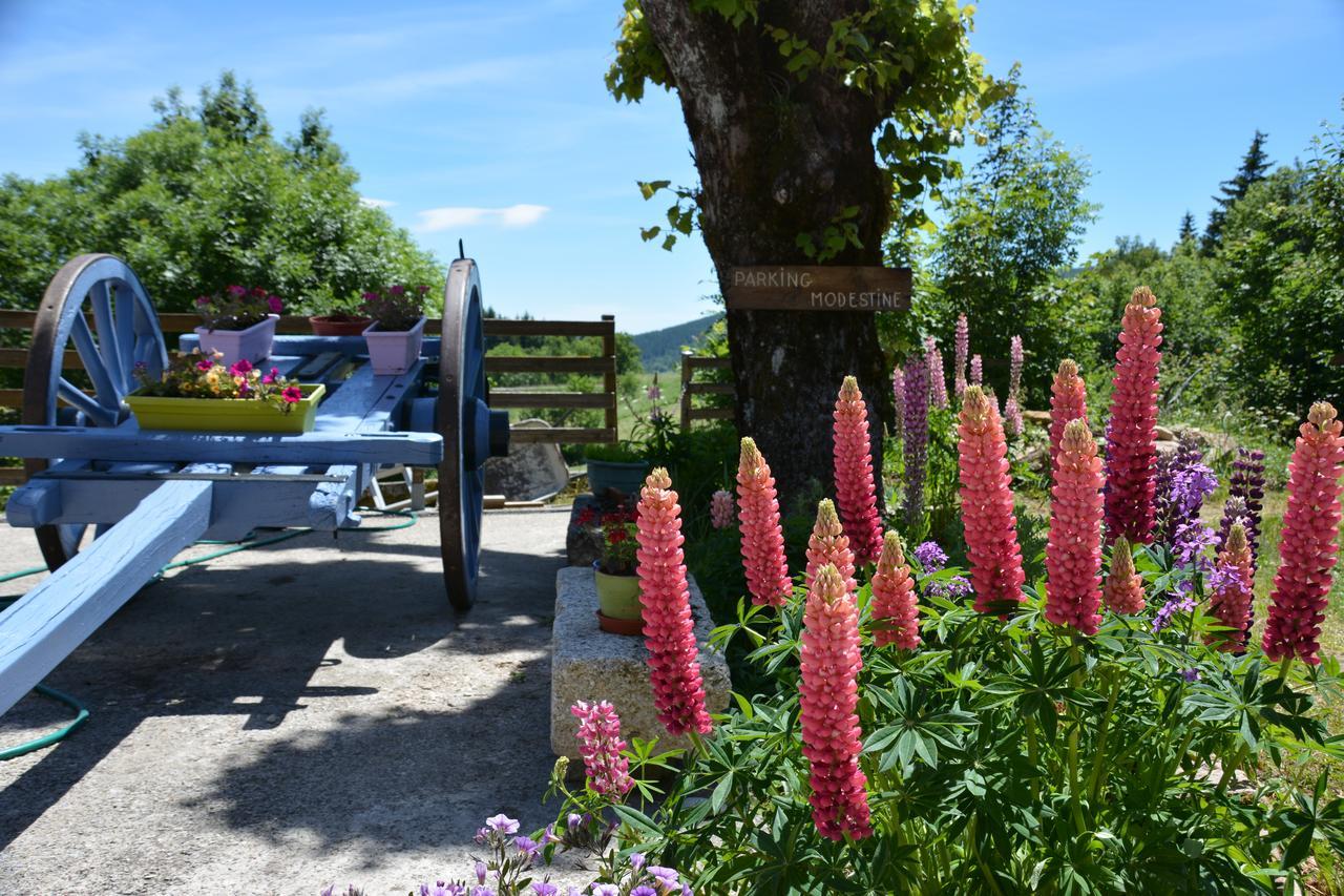 "Le Relais De Modestine" Chambres Et Table D'Hotes Chasserades ภายนอก รูปภาพ