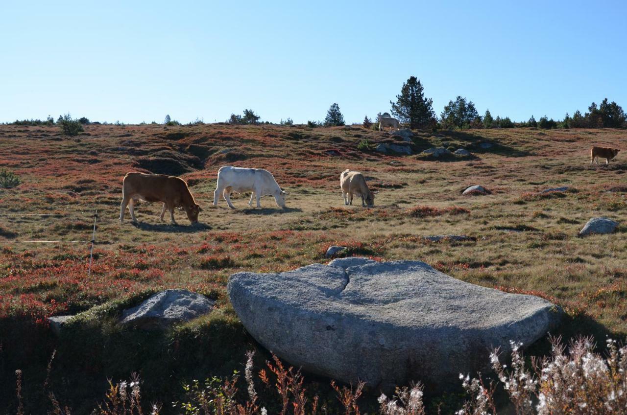 "Le Relais De Modestine" Chambres Et Table D'Hotes Chasserades ภายนอก รูปภาพ